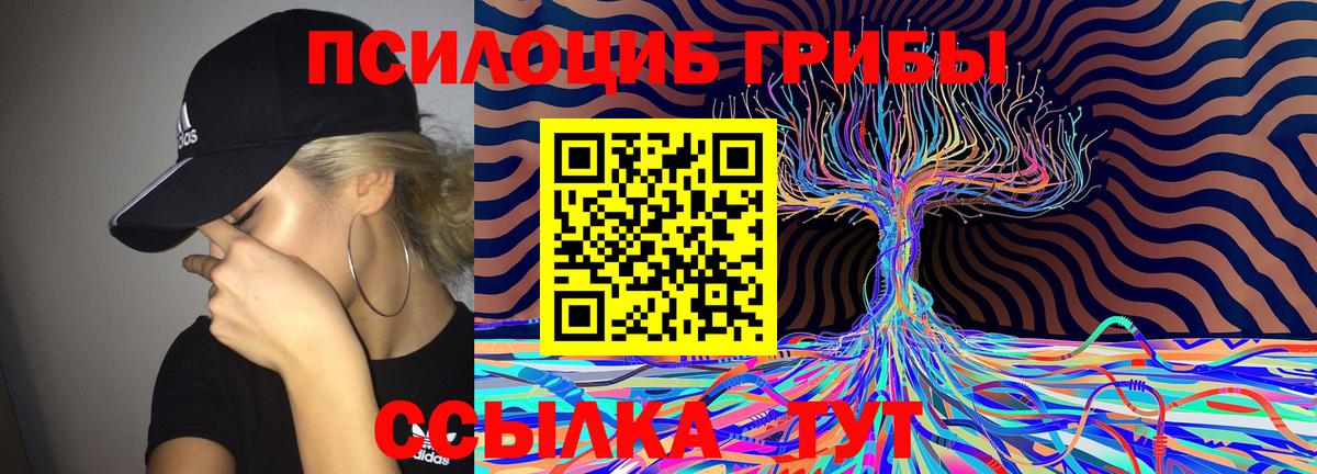 Псилоцибиновые грибы MAGIC MUSHROOMS Абинск