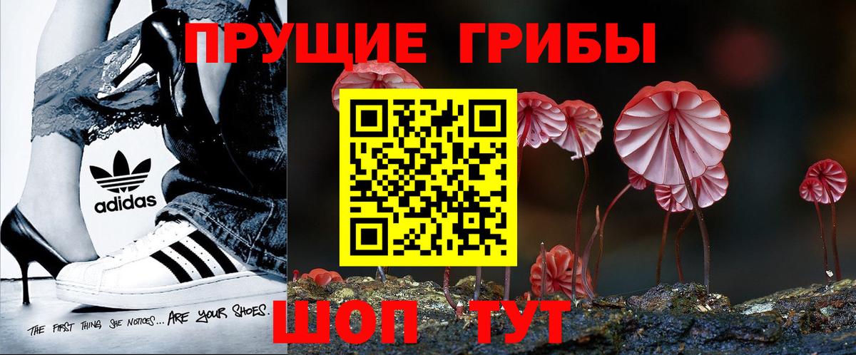 Псилоцибиновые грибы Cubensis  Вход с VPN  Галлюциногенные грибы мицелий  Абинск 